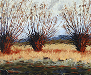 Three Willows Series